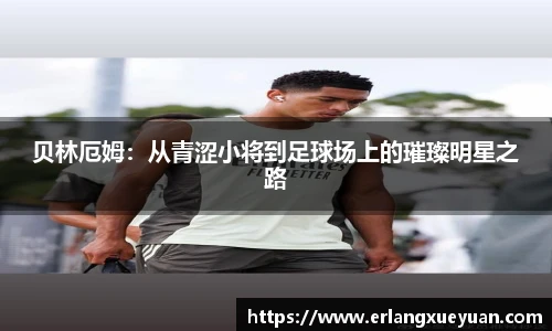 u8集团官网入口